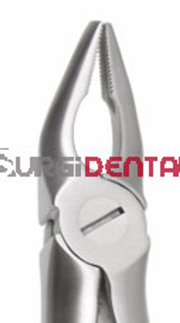 Max-Lite 7M, Upper Premolars