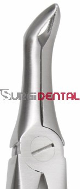 Max-Lite 145, Lower Roots