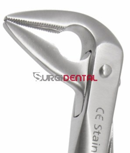 Max-Lite 36M, Lower Anteriors, Modified