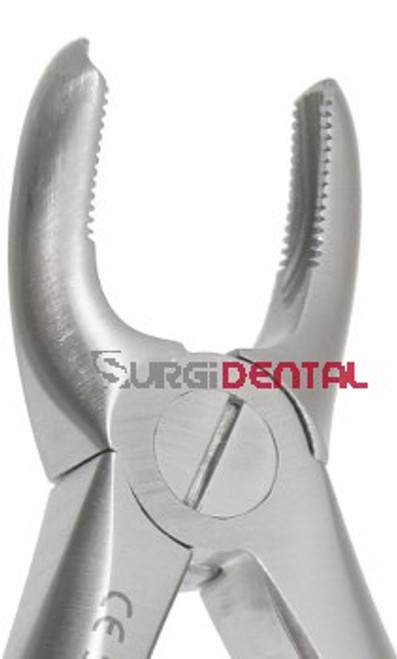 Max-Lite Pedodontic 18, Upper Molars, Right