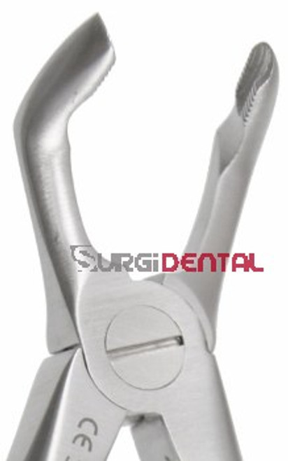 Max-Lite Pedodontic 79M, Lower Molars