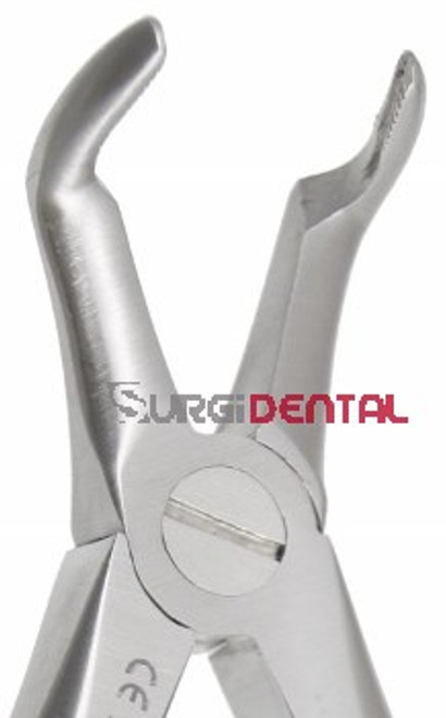 Max-Lite Pedodontic 45, Lower Roots