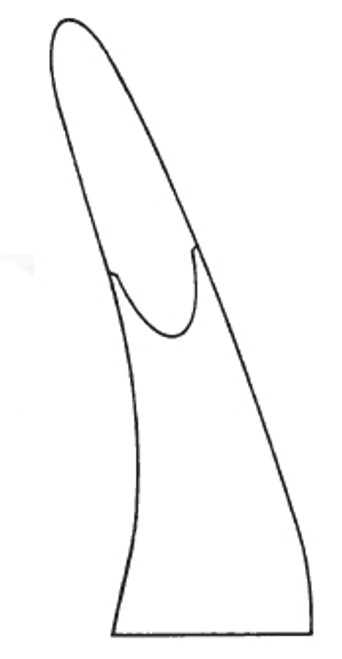 Blumenthal Bone Rongeur 6" 30 Deg