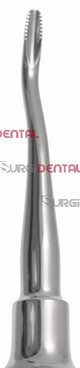 Serrated 77 Dental Elevator