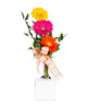 Automatic Pop-up Cardboard Vase Holder