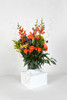 Large Heavy Weight Automatic Pop-Up Vase holder box