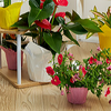 FORMAFLOR™ Pot Covers - Pearl