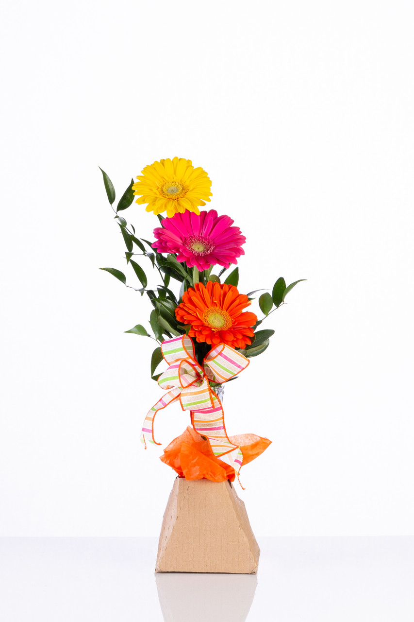 Cardboard Box Pyramid Packer Vase Box