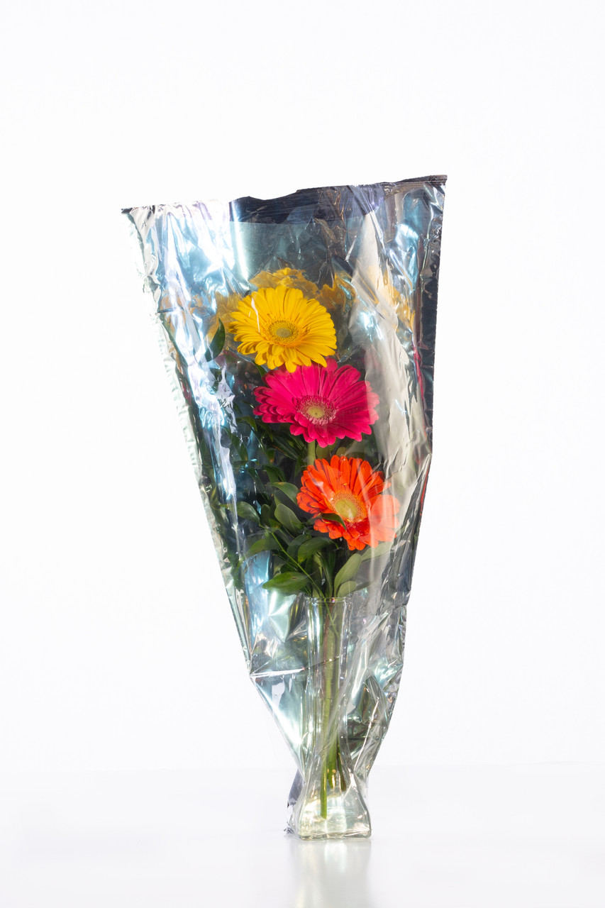 SILVER Floral Vase Bag
