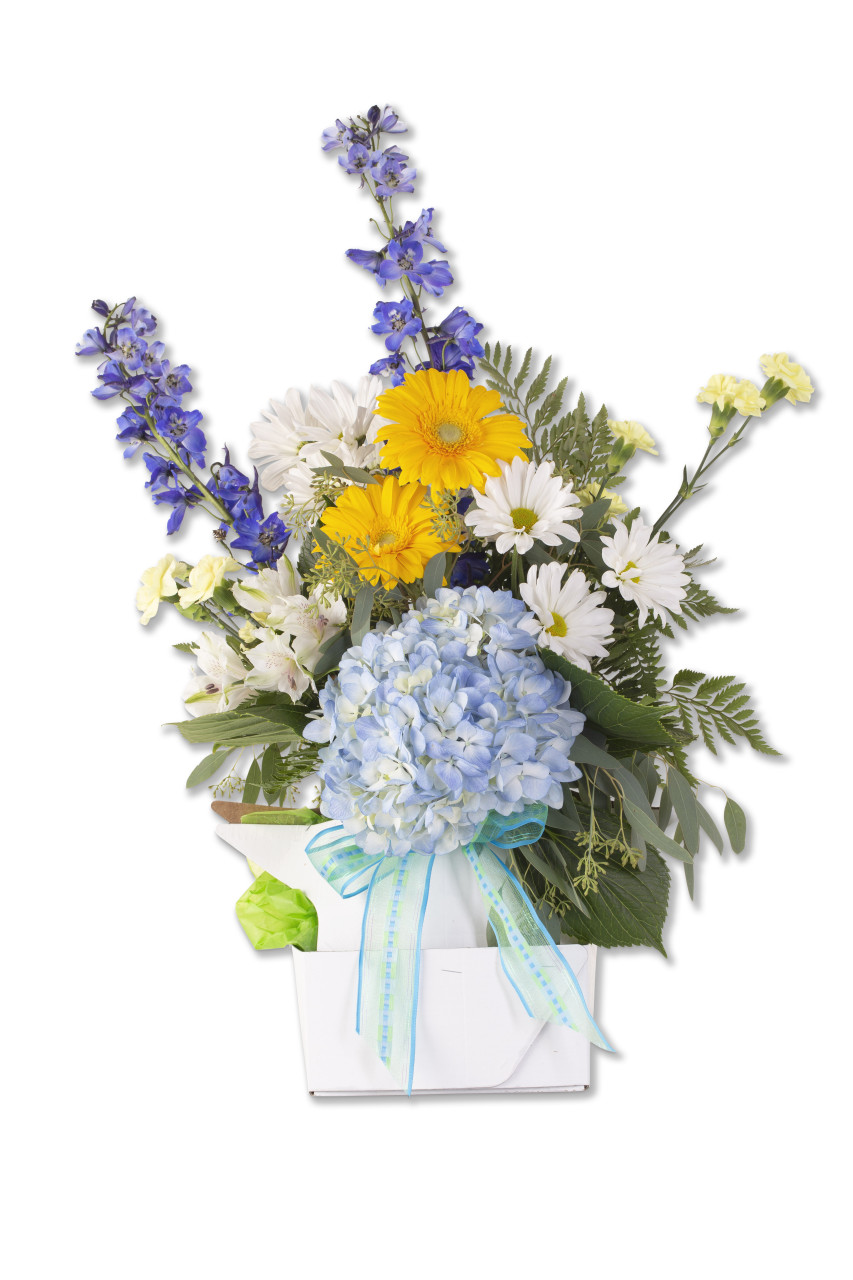 Pak-All vase holder box arrangement #6
