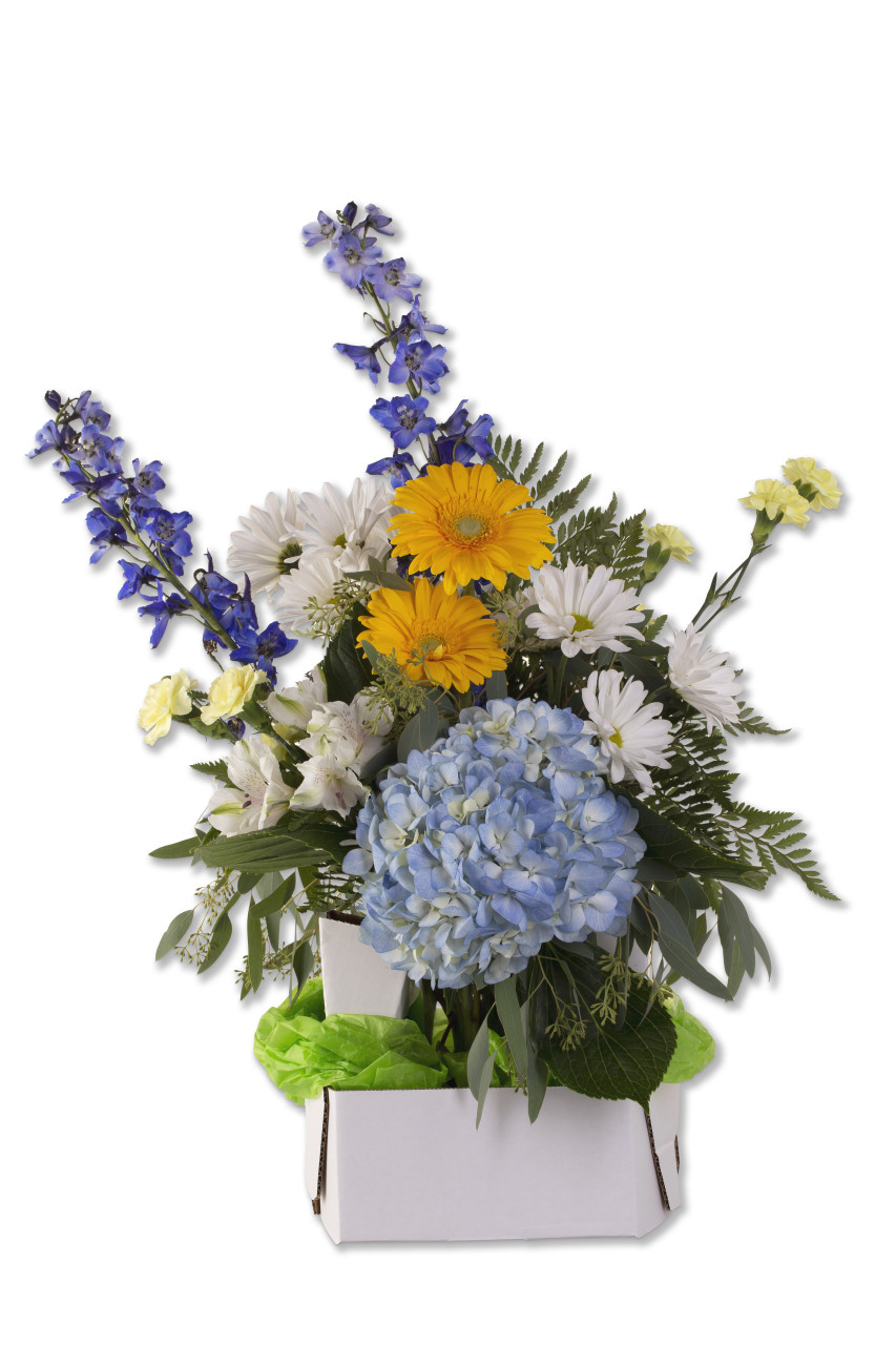 Pak-All vase holder box arrangement #7
