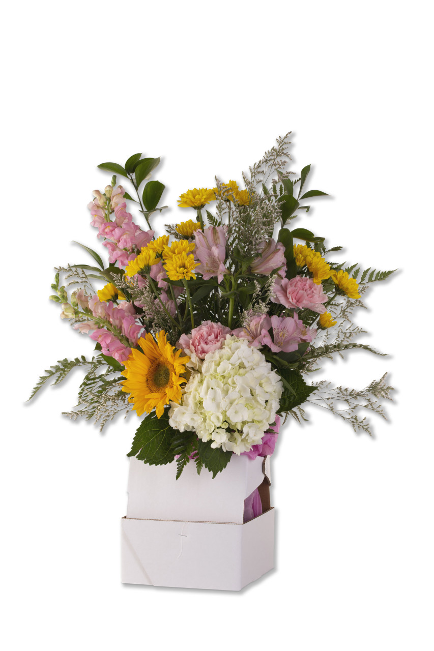 Pak-All vase holder box arrangement #5