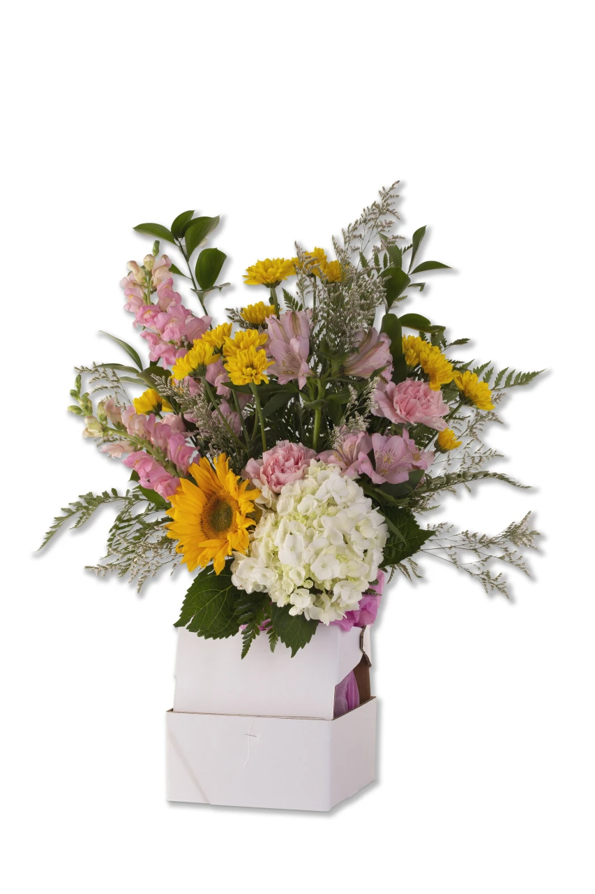 PackAll vase holder box arrangement #5