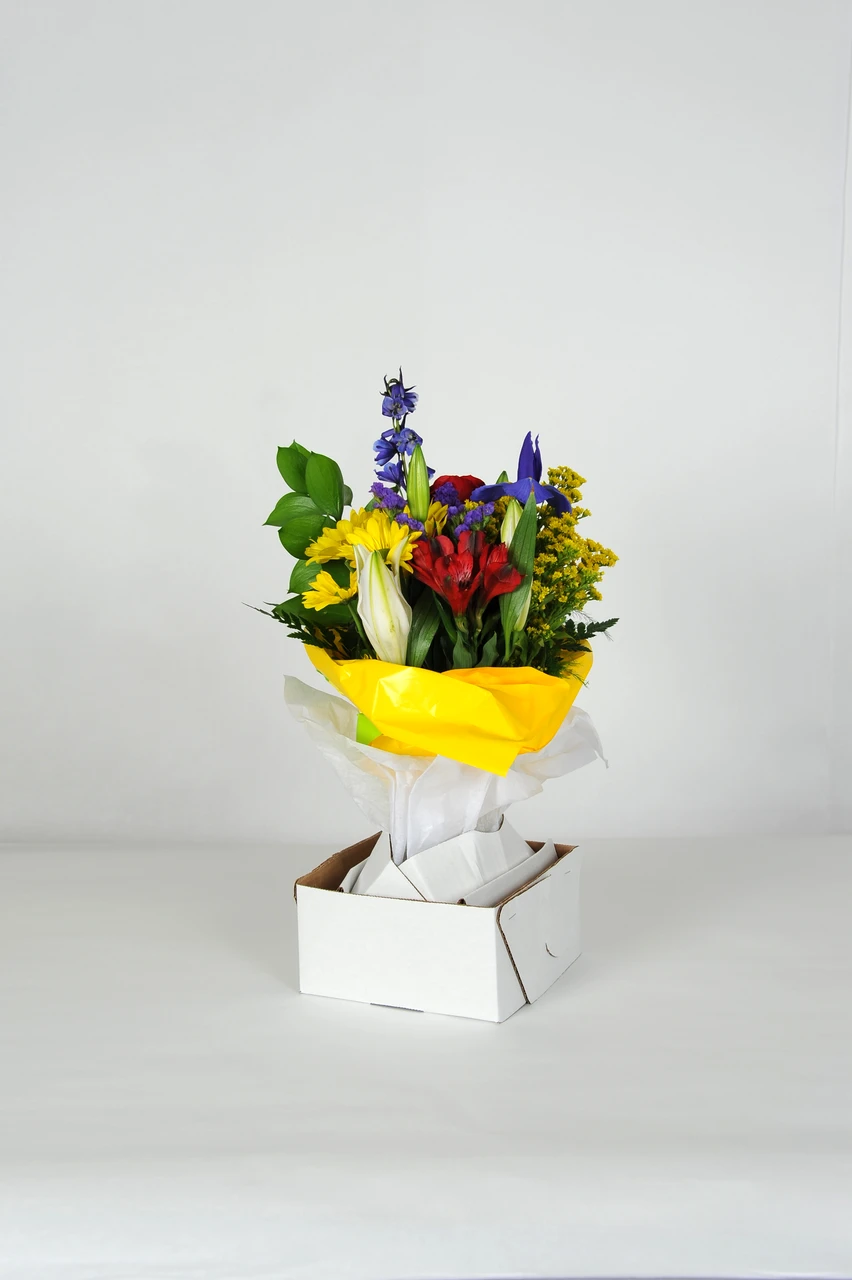 PackAll vase holder box arrangement #8