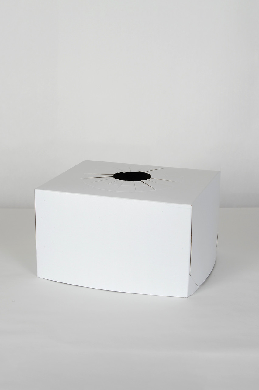 B. FLORET BOX BAG　ホワイト Bibiy B. FLORET BOX BAG