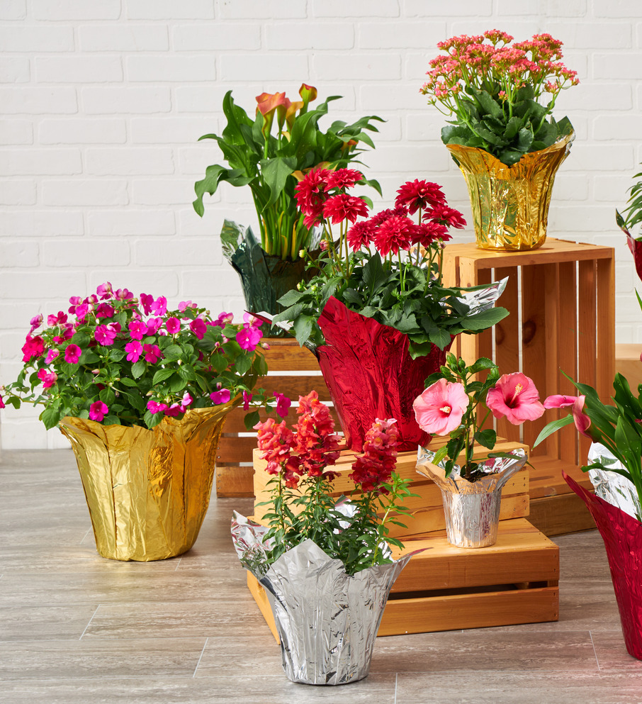 FORMAFLOR™ Pot Covers - Matte