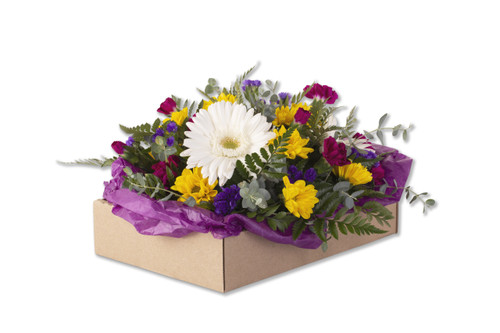 Kraft Cardboard Delivery Trays