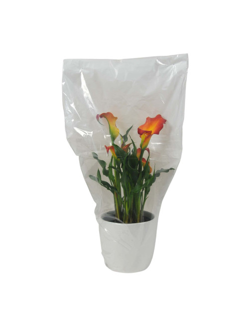 Clear Poly Sleeves for Potted Plants