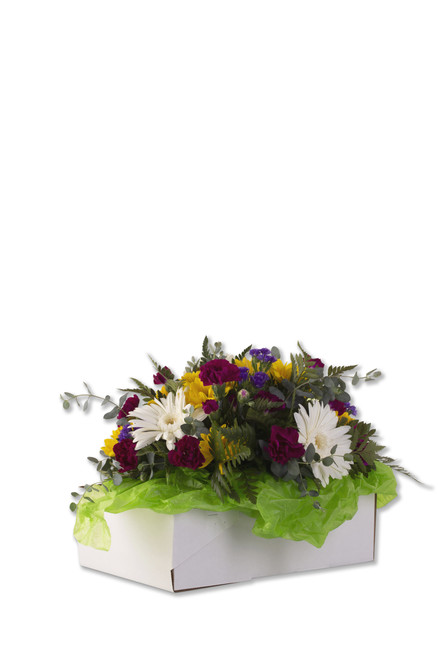 Pak-All vase holder box arrangement #2