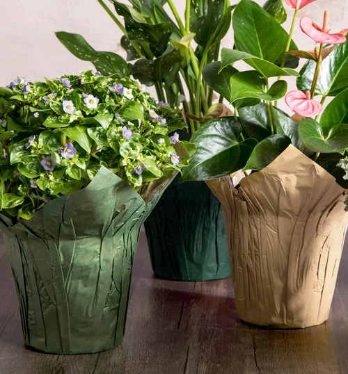 FORMAFLOR™ Pot Covers - Kraft Natural Interior