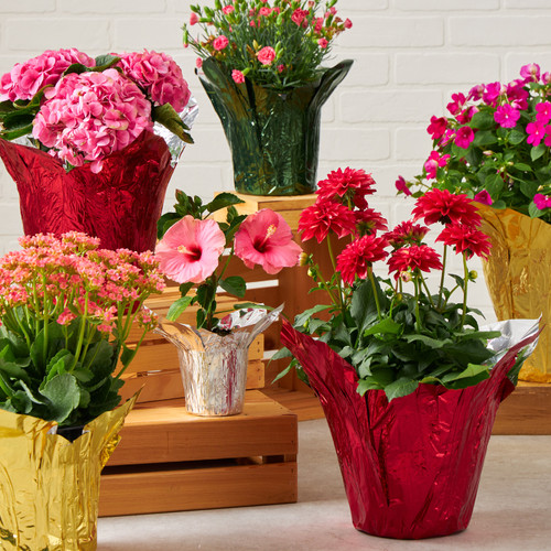 FORMAFLOR™ Pot Covers - Metallic