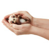 Fingerlings Baby Sloth - Kingsley (Brown)