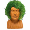 Golden Girls Dorothy Zbornak Chia Pet