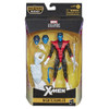 Marvel Legends Series 6-inch Collectible Action Figure Nightcrawler Toy