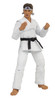 Karate Kid Daniel Larusso 6-Inch Scale Action Figure