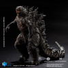 Godzilla King of the Monsters Godzilla Exquisite Basic Action Figure - Previews Exclusive