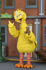 [PRE-ORDER] NECA Sesame Street Ultimate Big Bird 7-Inch Scale Action Figure