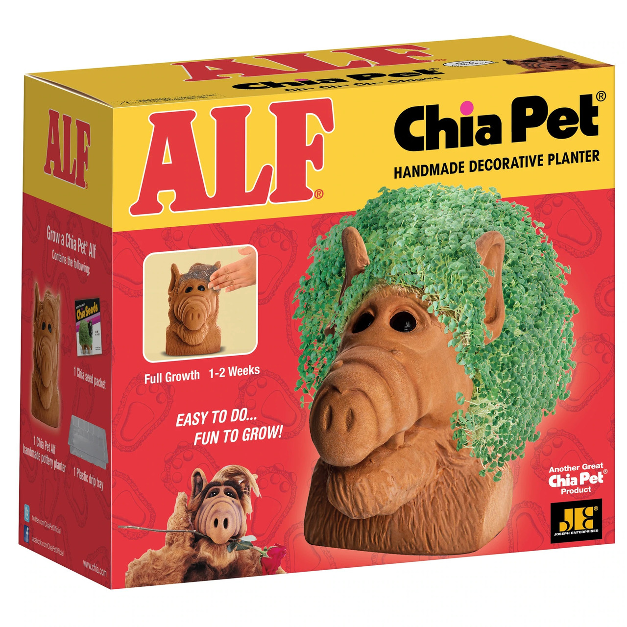 Sonic the Hedgehog Chia Pet®