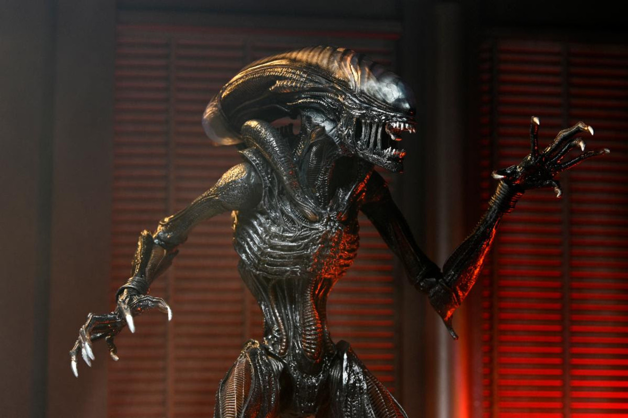 SF・ファンタジー・ホラー NECA Alien: Romulus Scorched Xenomorph Alien: Romulus Bundle – NECA