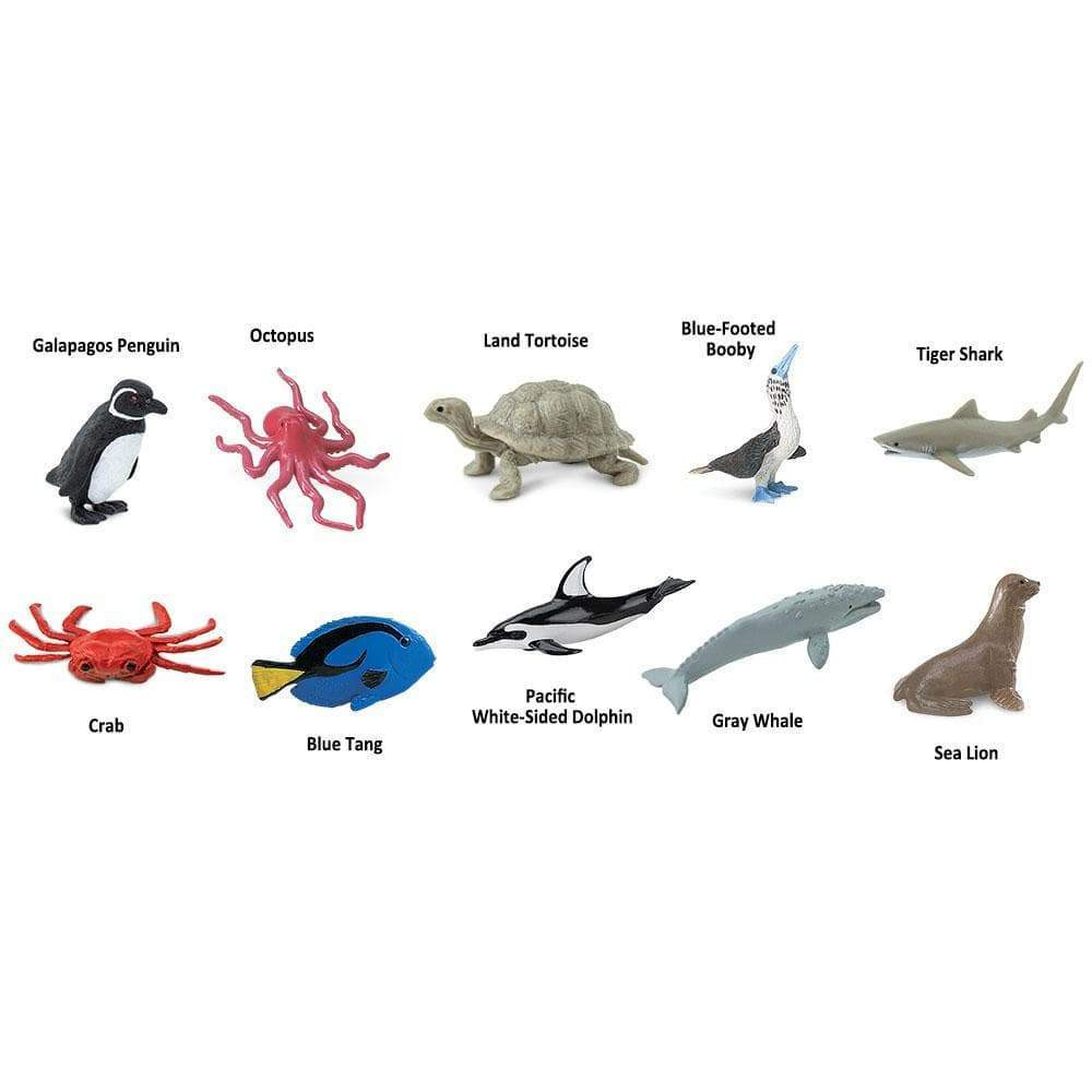 置物 pacific ocean Pacific TOOB® – Miniature Ocean Animal Figure Set