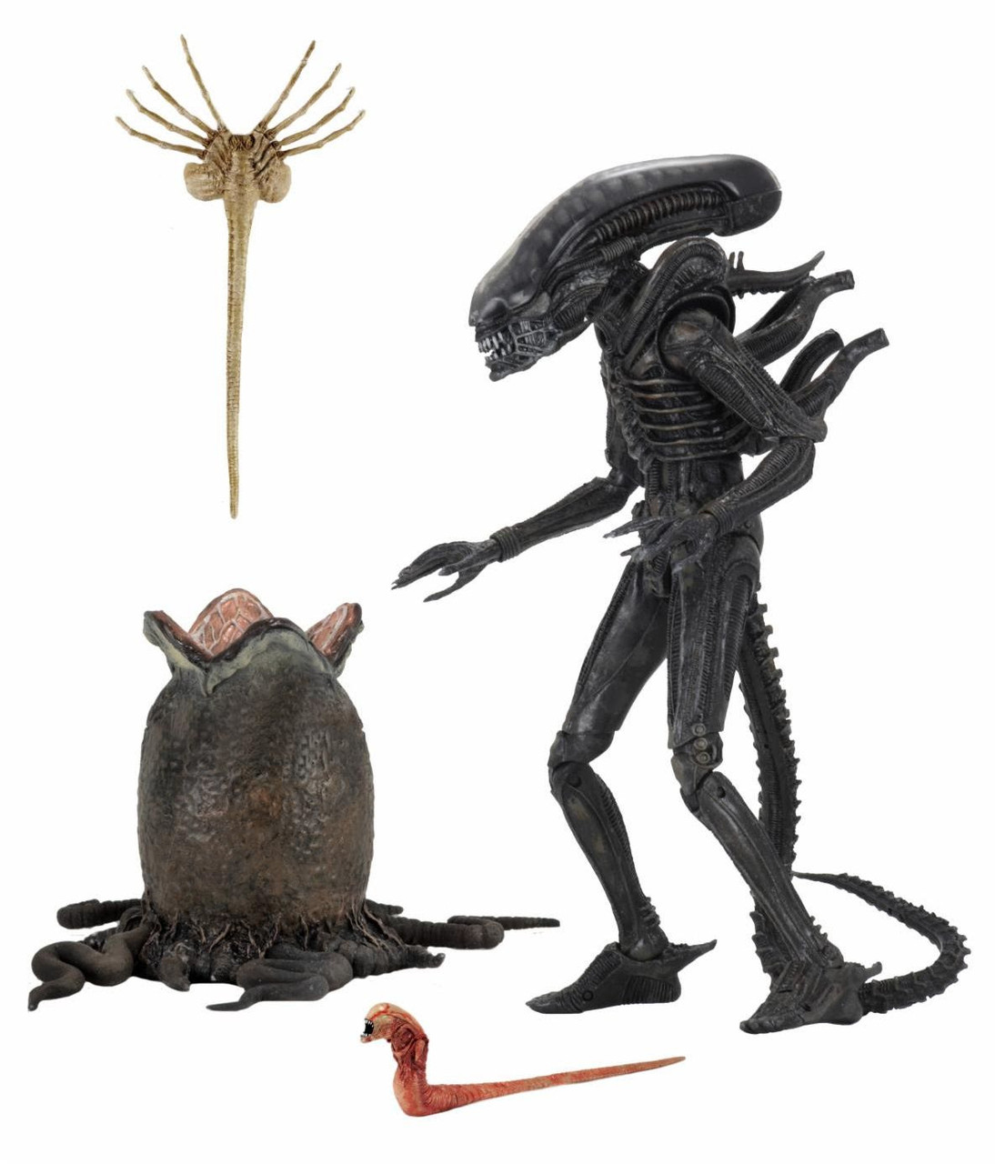 エイリアン　NECA フィギュア　セット NECA Alien Ultimate 40th Anniversary Big Chap 7-Inch Scale Action