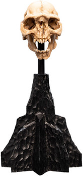 WETA Workshop The Lord of the Rings Trilogy Skull of a Moria Orc Polystone Statue