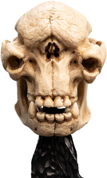 WETA Workshop The Lord of the Rings Trilogy Skull of a Cave Troll Polystone Statue