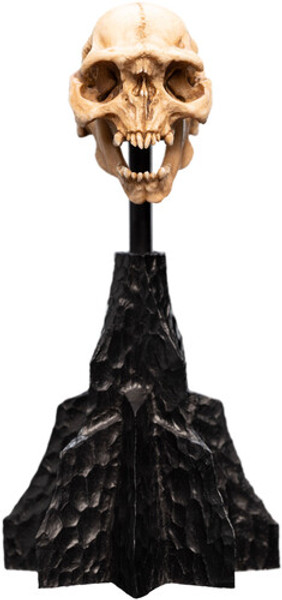 WETA Workshop The Lord of the Rings Trilogy Skull of a Moria Orc Polystone Statue