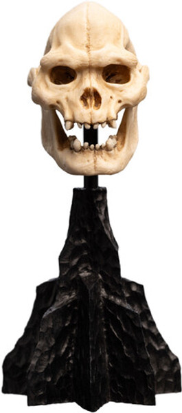 WETA Workshop The Lord of the Rings Trilogy Skull of Lurtz Polystone Statue
