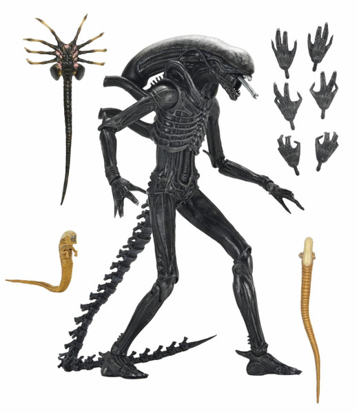 NECA Aliens Series 6 Alien Isolation Xenomorph Action Figure - Buy