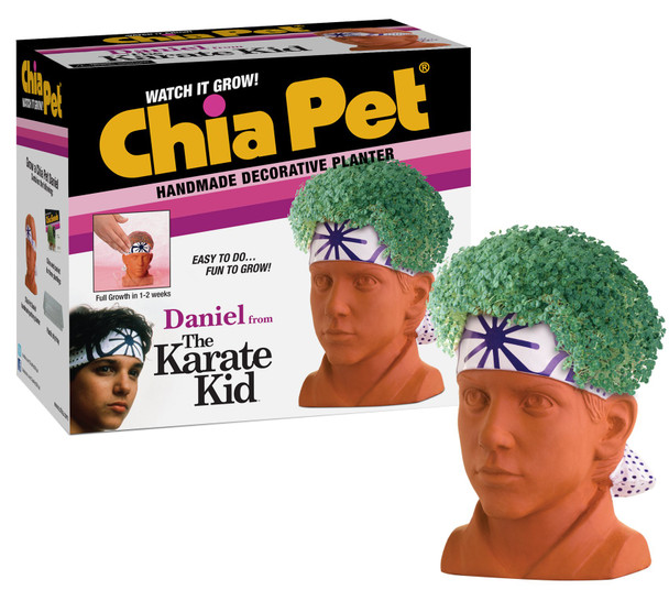 Karate Kid Daniel Chia Pet