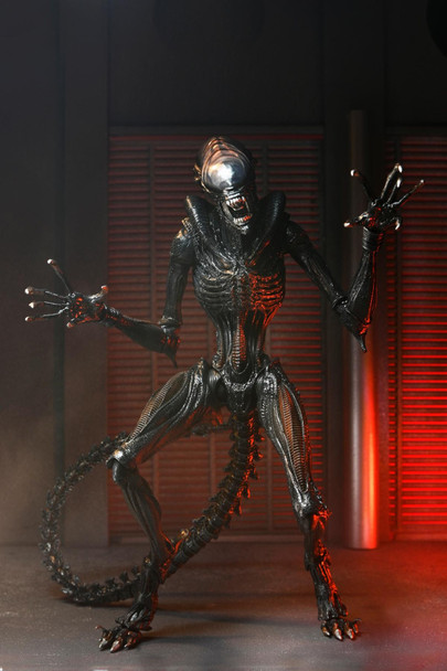 SF・ファンタジー・ホラー NECA Alien: Romulus Scorched Xenomorph Alien: Romulus Ultimate Scorched Xenomorph 7-inch Scale