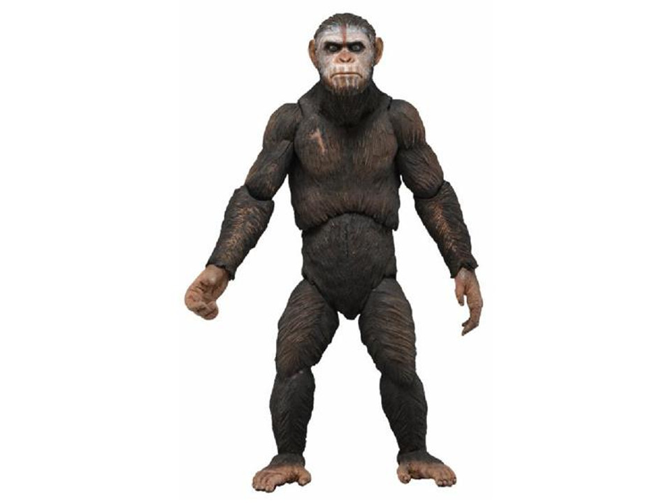 Dawn of the Planet of the Apes Series 1 Caesar Action Figure