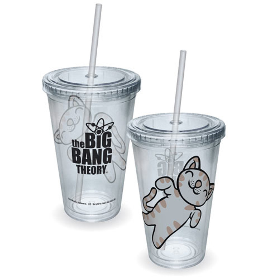 Big Bang Theory Soft Kitty Acrylic Travel Cup