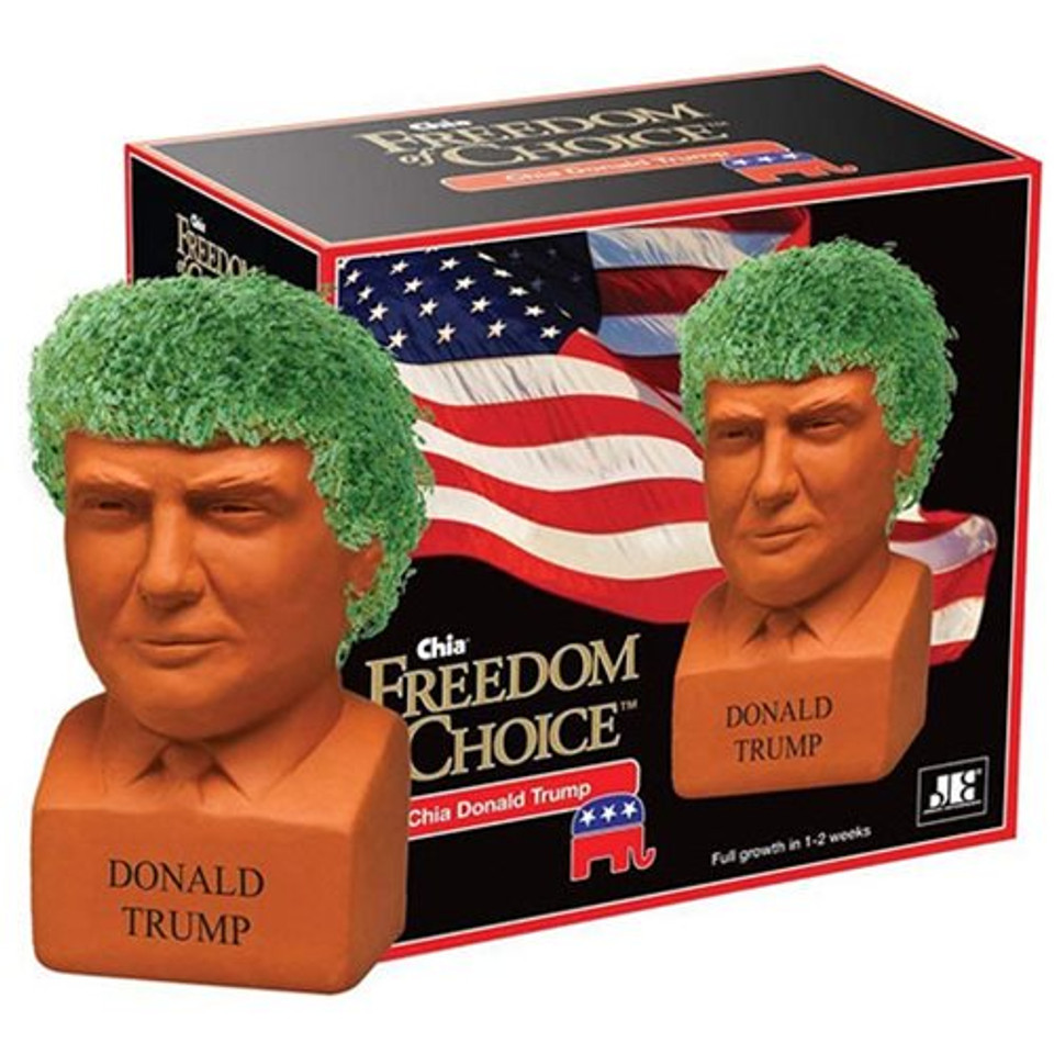 Donald Trump Chia Pet