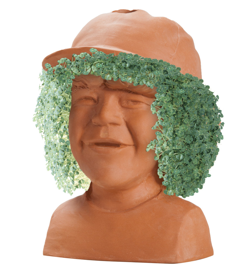 Stranger Things Dustin Chia Pet