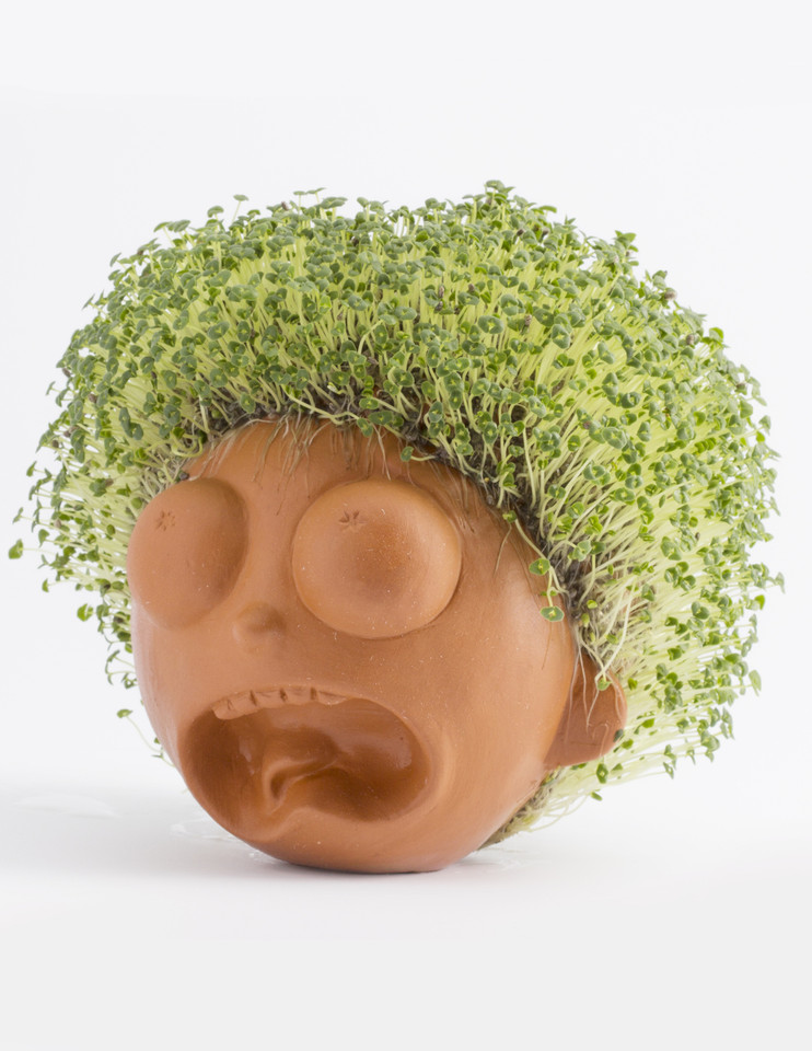 Rick and Morty Morty Chia Pet