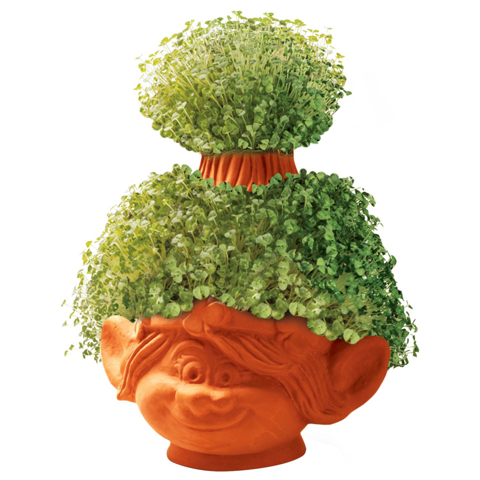 Trolls World Tour Poppy Chia Pet