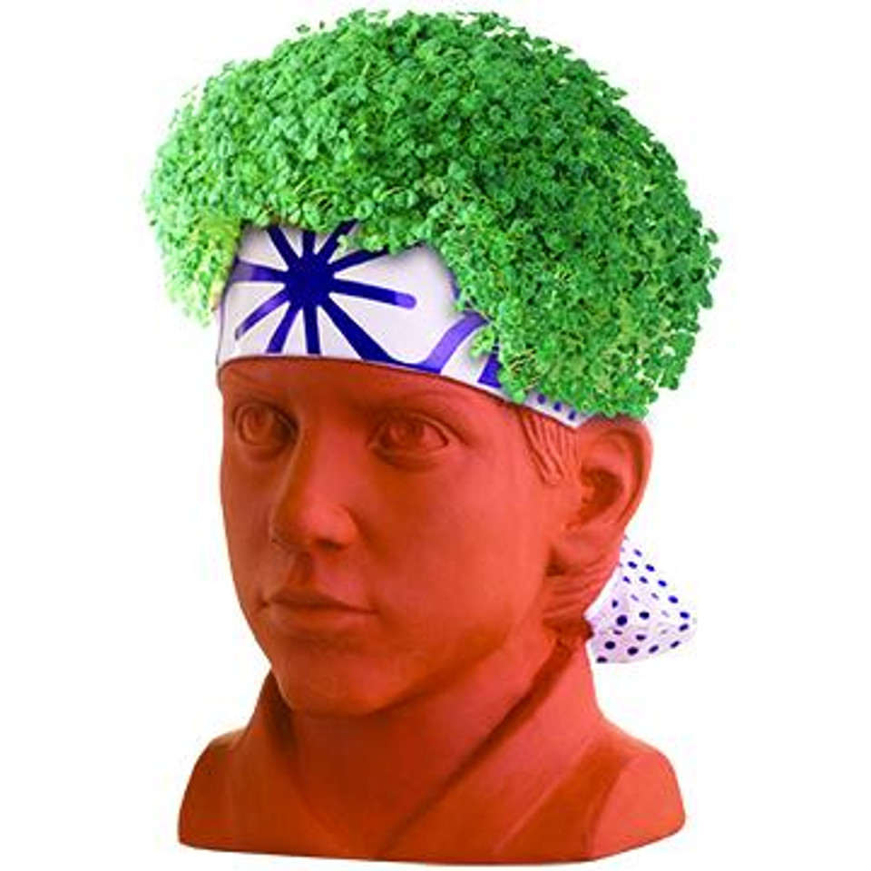 Karate Kid Daniel Chia Pet