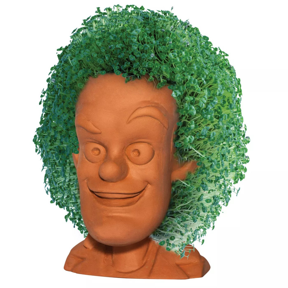 NECA Back to the Future Doc Brown Chia Pet